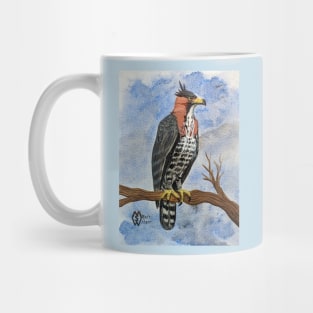 Ornate hawk-eagle perched in the tree hunting for prey Mug